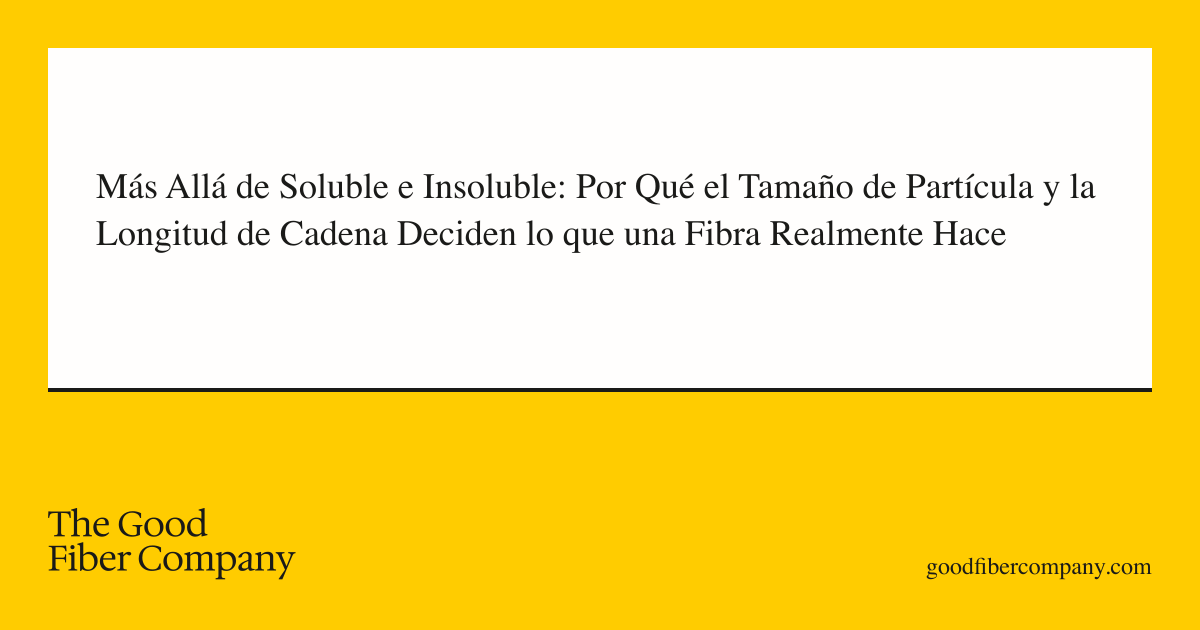 Más Allá de Soluble e Insoluble: Por Qué el Tamaño de Partícula y la Longitud de Cadena Deciden lo que una Fibra Realmente Hace
